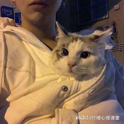 meta突袭国际版下载
